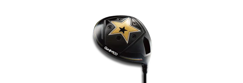 MODEL01 DRIVER