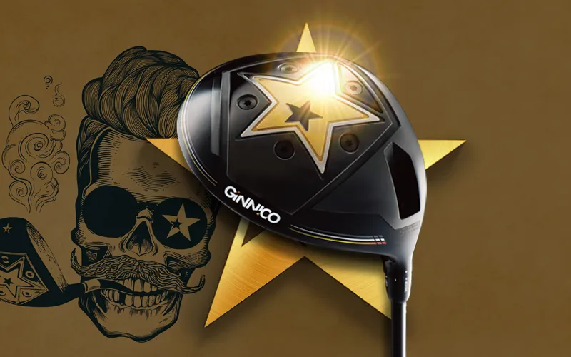 MODEL01 DRIVER